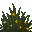 Plante grise