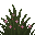 Plante jaune