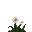 Farenius