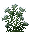 Achillée