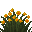 Agave Chrysantha