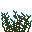 Anémone