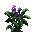 Basilic