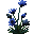 Bleuet
