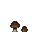 Cèpe
