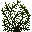 Cératophylle