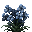 Cyrillia