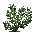 Estragon