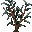 Eucaliptus