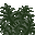 Menthe