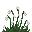 Muguet