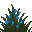 Ocimum