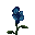 Orchidée Bleue