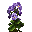 Pimprenelle Violette