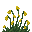 Potentille