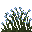 Romarin