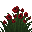 Rose Éternelle