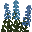 Sauge Bleue