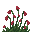 Solpiria