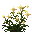 Stellia