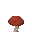 Champignon de Tannuviel